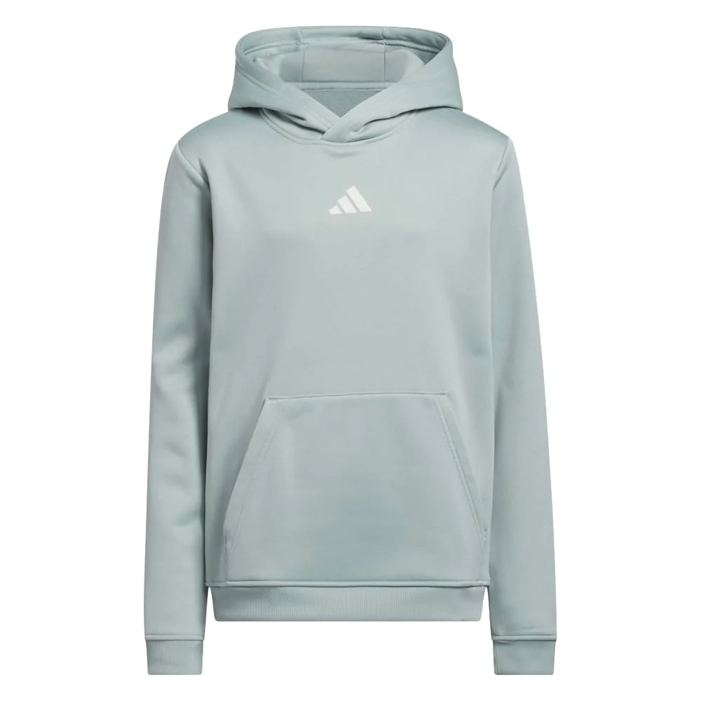 adidas Climawarm Graphic Hoodie Wonder Sage Years Junior