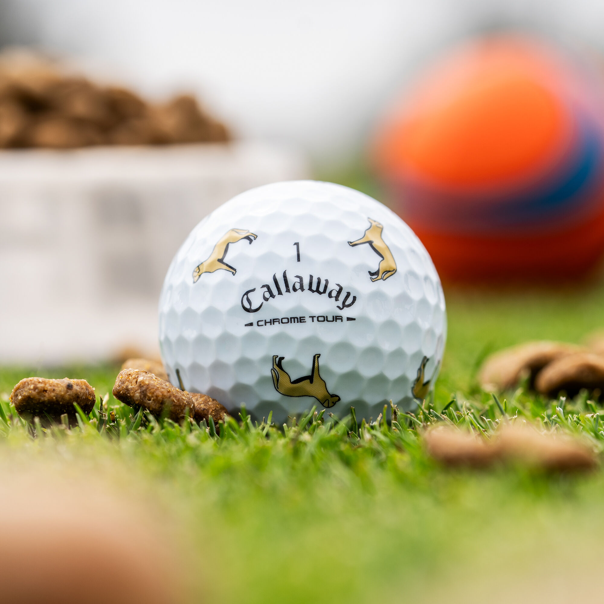 Callaway Golf Chrome Tour Lab Dog Balls