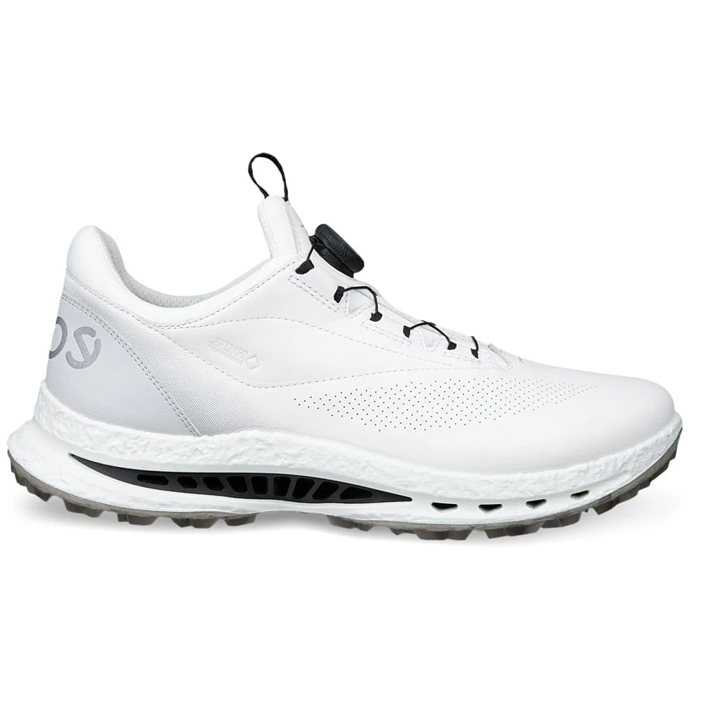 Ecco Biom C5 Boa Gore Tex Spikeless Shoes