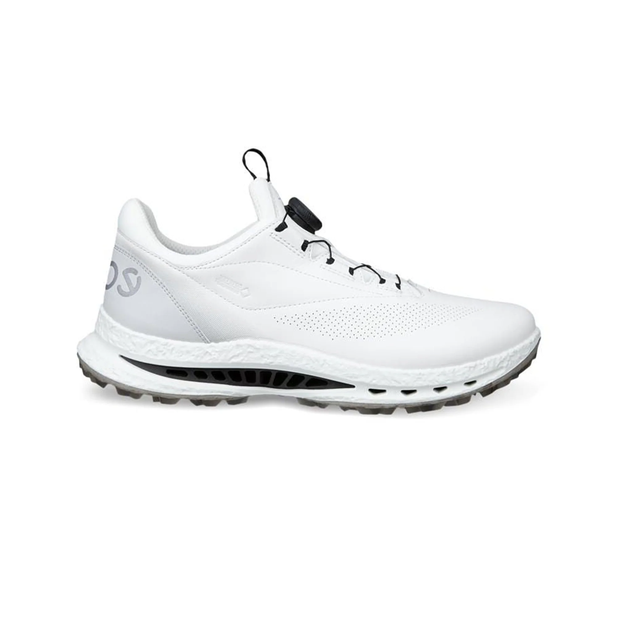 ECCO Biom C5 Boa Gtx Shoes