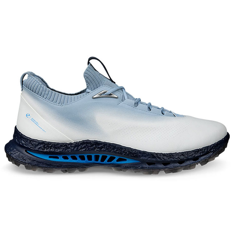 ECCO Biom C5 Gore Tex Air Shoes