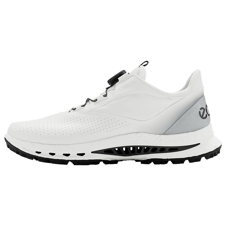 ECCO Biom C5 Gore Tex Boa Shoes