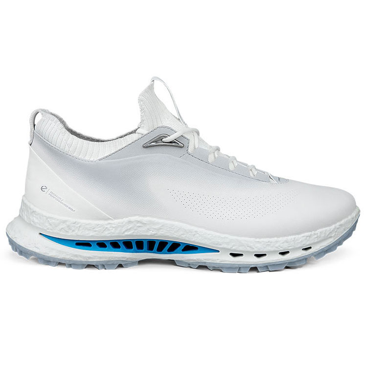ECCO Biom C5 Gore Tex Concrete Shoes