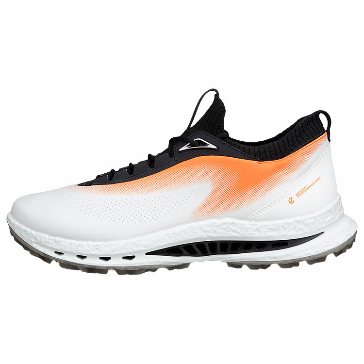 ECCO Biom C5 Gore Tex Ibis Shoes