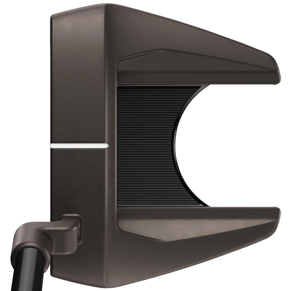 Taylormade Spider Tour Torched F L Neck Putter