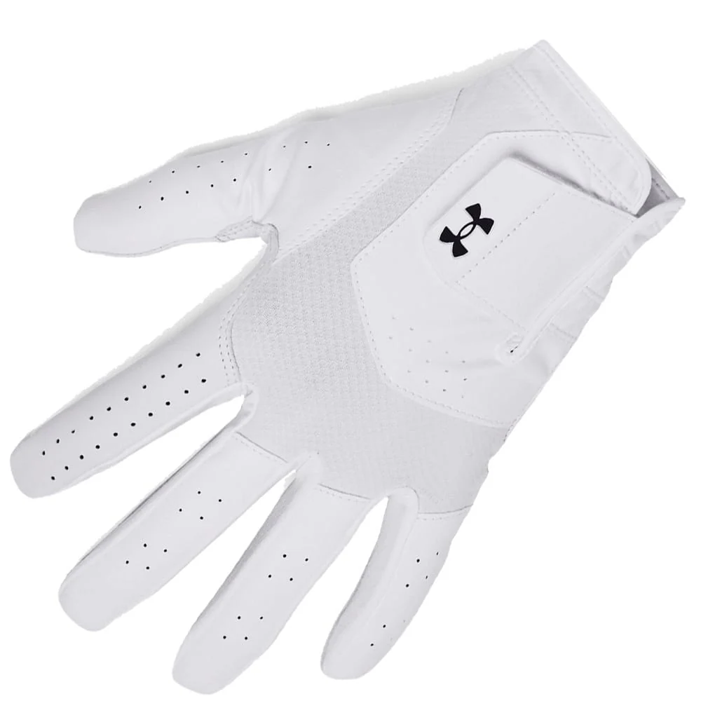 Under Armour Iso-Chill Leather Golf Glove - / / / Right Handed Golfer / XL