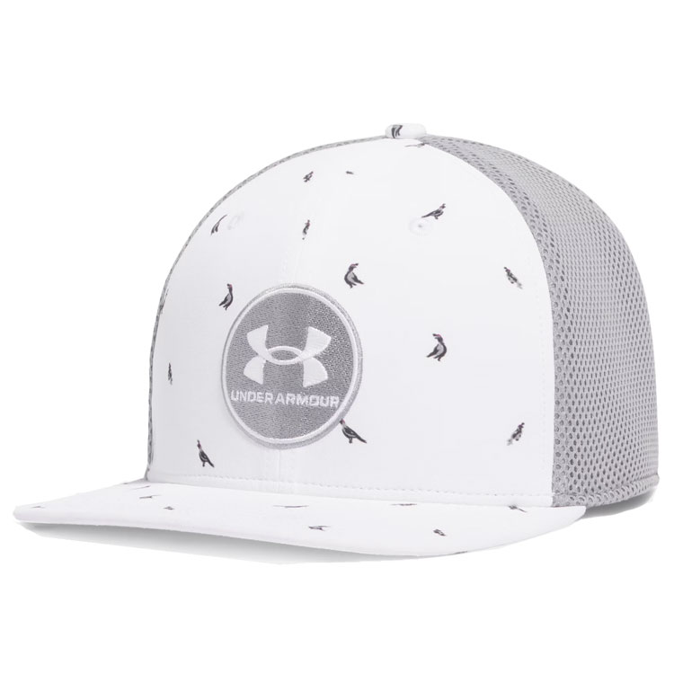 Under Armour Iso Chill Low Cap Driver